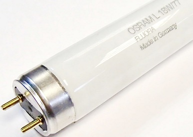       Osram Fluora  8 (26 ) 